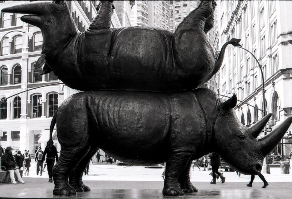 Rhino Statute